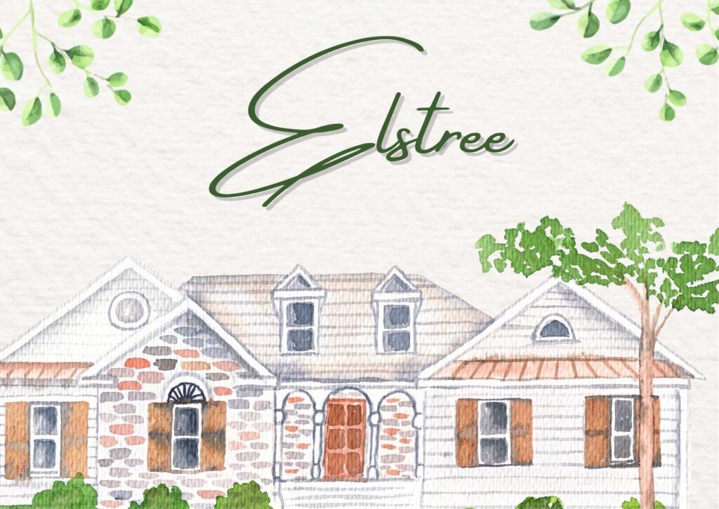 Local professional carpet cleaner using truck-mounted equipment to deep clean plush carpet in a Elster family living room