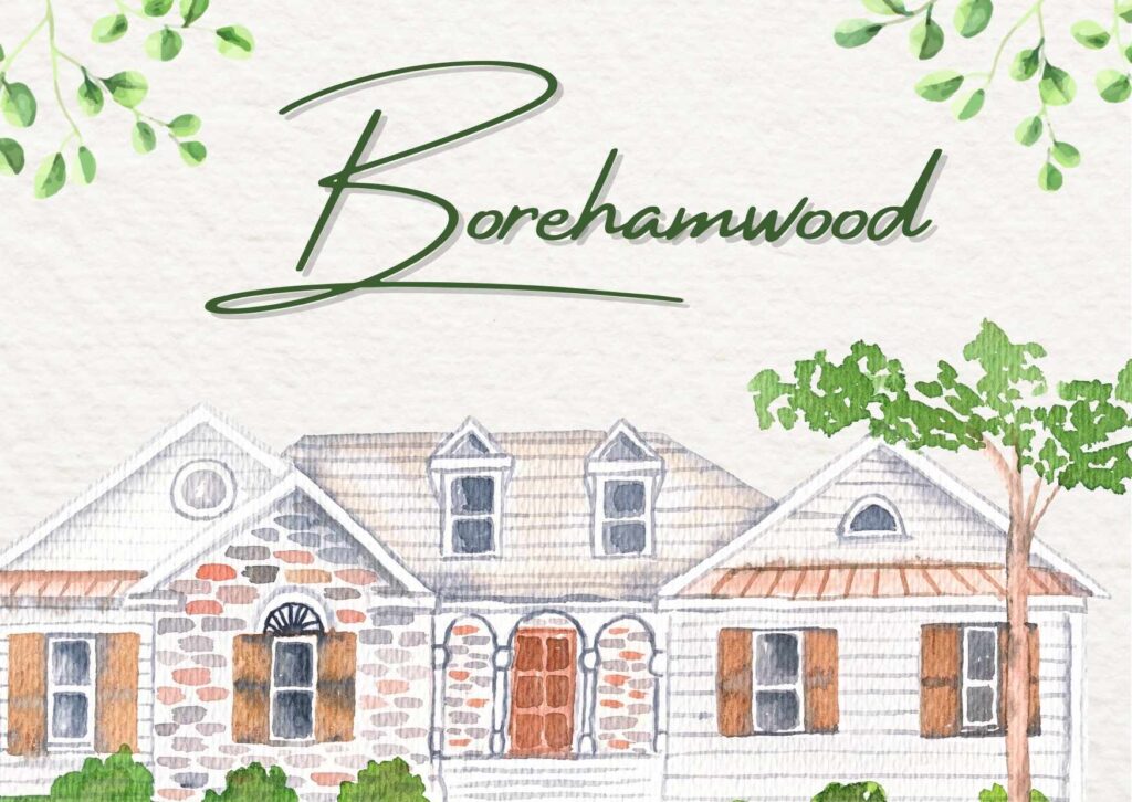 Local professional carpet cleaner using truck-mounted equipment to deep clean plush carpet in a Borehamwood family living room