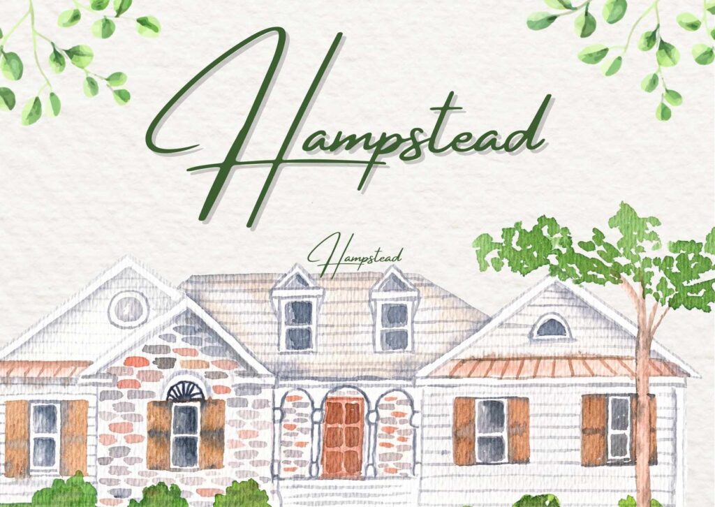 Local professional carpet cleaner using truck-mounted equipment to deep clean plush carpet in a Hampstead family living room