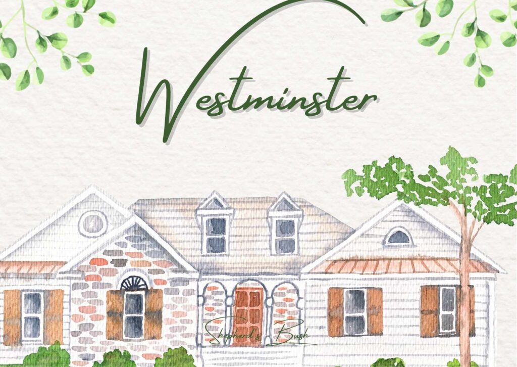 Local professional carpet cleaner using truck-mounted equipment to deep clean plush carpet in a Westminster family living room