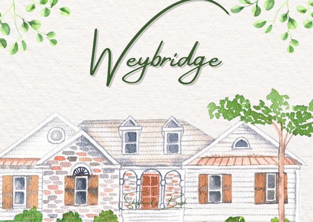 Local professional carpet cleaner using truck-mounted equipment to deep clean plush carpet in a Weybridge family living room