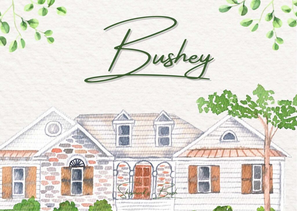 Local professional carpet cleaner using truck-mounted equipment to deep clean plush carpet in a Bushey family living room