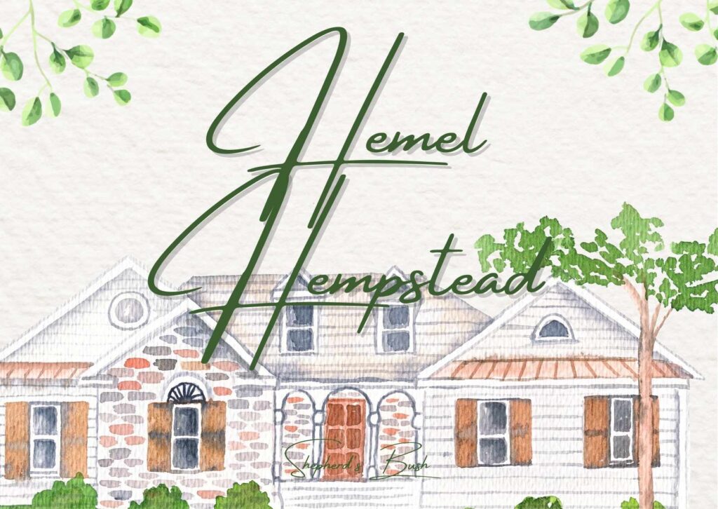 Local professional carpet cleaner using truck-mounted equipment to deep clean plush carpet in a Hemel Hempstead family living room