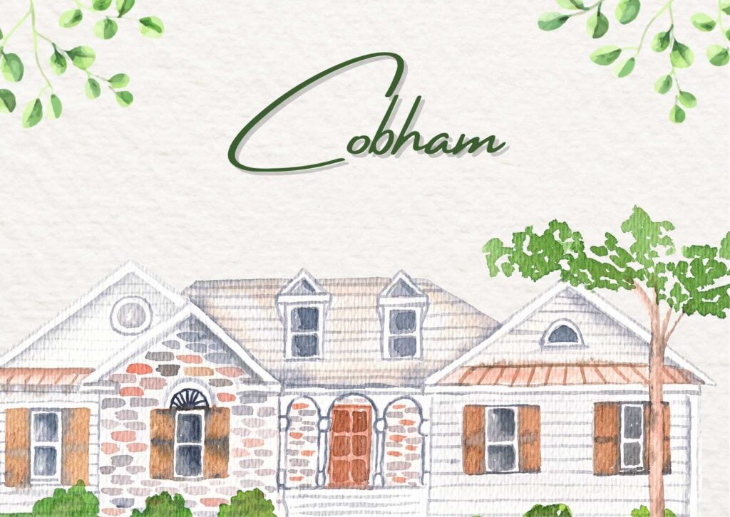 Local professional carpet cleaner using truck-mounted equipment to deep clean plush carpet in a Cobham family living room